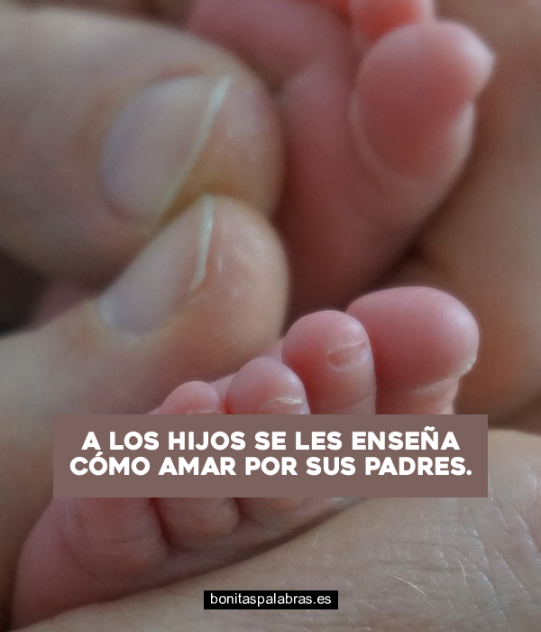 Imagen de A Los Hijos Se Les Ensena Como Amar Por Sus Padres