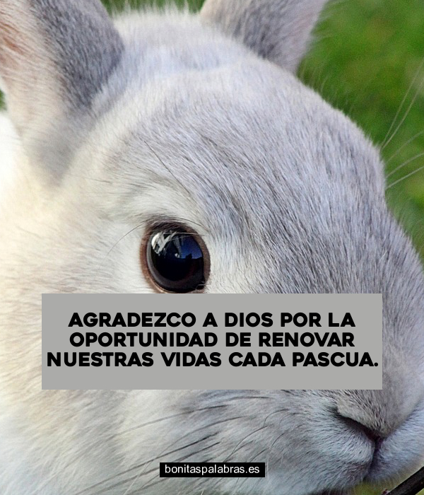 Imagen de Agradezco A Dios Por La Oportunidad De Renovar Nuestras Vidas Cada Pascua