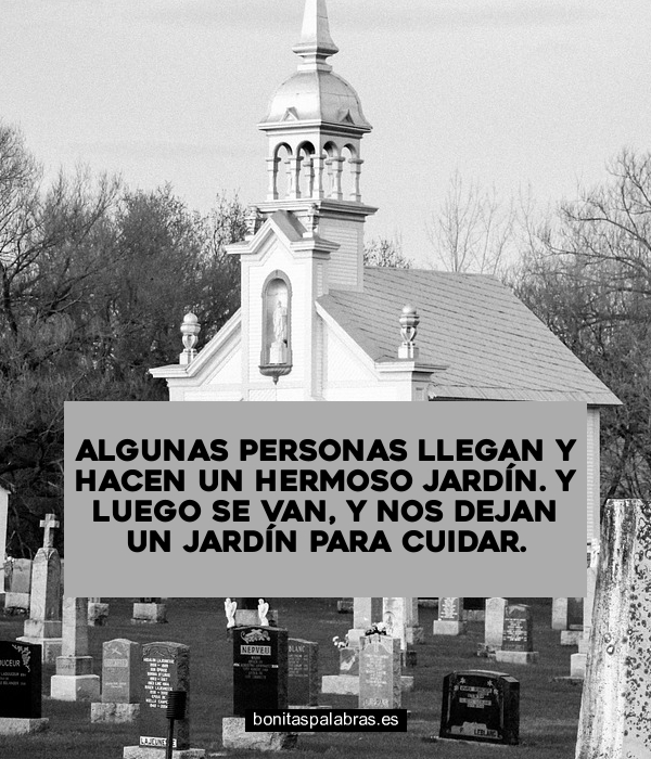 Imagen de Algunas Personas Llegan Y Hacen Un Hermoso Jardin Y Luego Se Van Y Nos Dejan Un Jardin Para Cuidar