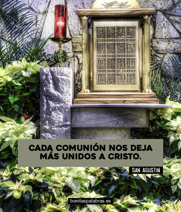 Imagen de Cada Comunion Nos Deja Mas Unidos A Cristo