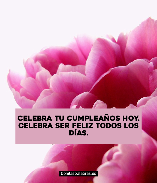 Imagen de Celebra Tu Cumpleanos Hoy Celebra Ser Feliz Todos Los Dias