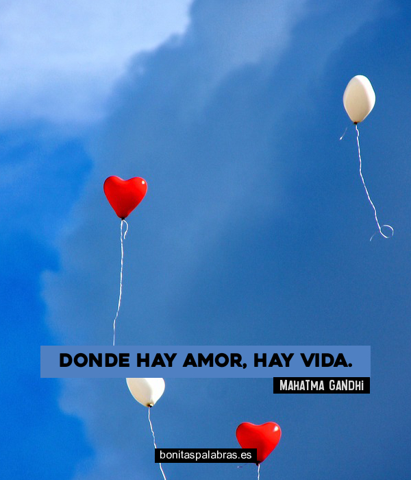 Imagen de Donde Hay Amor Hay Vida