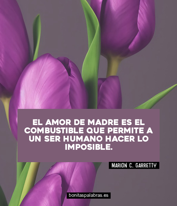 Imagen de El Amor De Madre Es El Combustible Que Permite A Un Ser Humano Hacer Lo Imposible