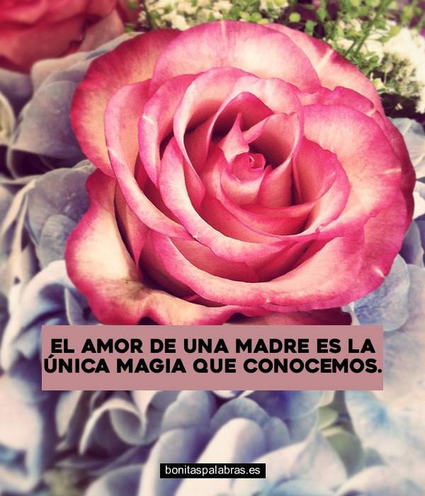 Imagen de El Amor De Una Madre Es La Unica Magia Que Conocemos