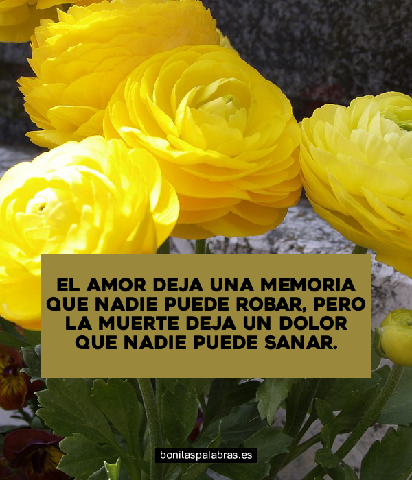 Imagen de El Amor Deja Una Memoria Que Nadie Puede Robar Pero La Muerte Deja Un Dolor Que Nadie Puede Sanar