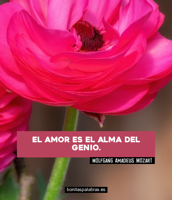 Imagen de El Amor Es El Alma Del Genio