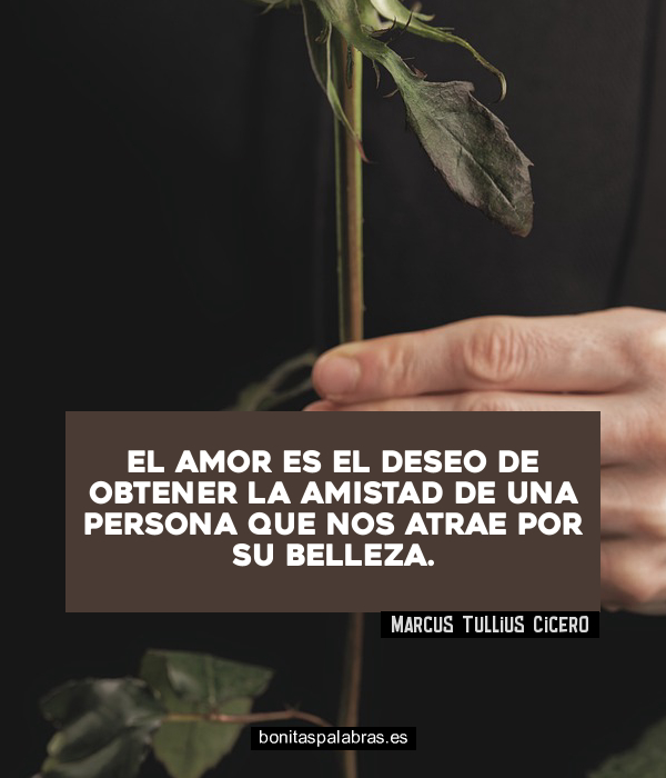 Imagen de El Amor Es El Deseo De Obtener La Amistad De Una Persona Que Nos Atrae Por Su Belleza