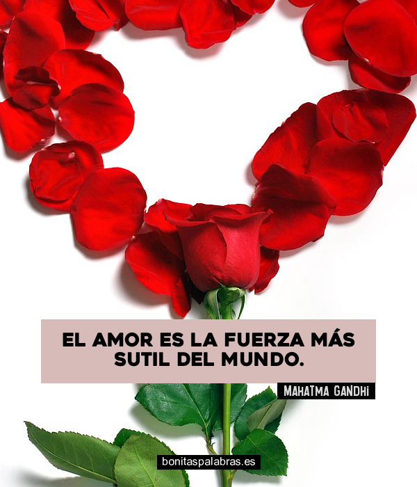 Imagen de El Amor Es La Fuerza Mas Sutil Del Mundo