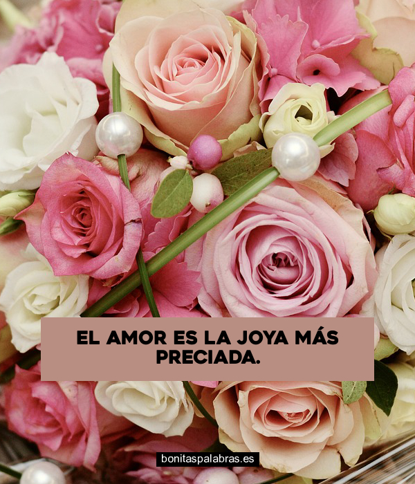 Imagen de El Amor Es La Joya Mas Preciada