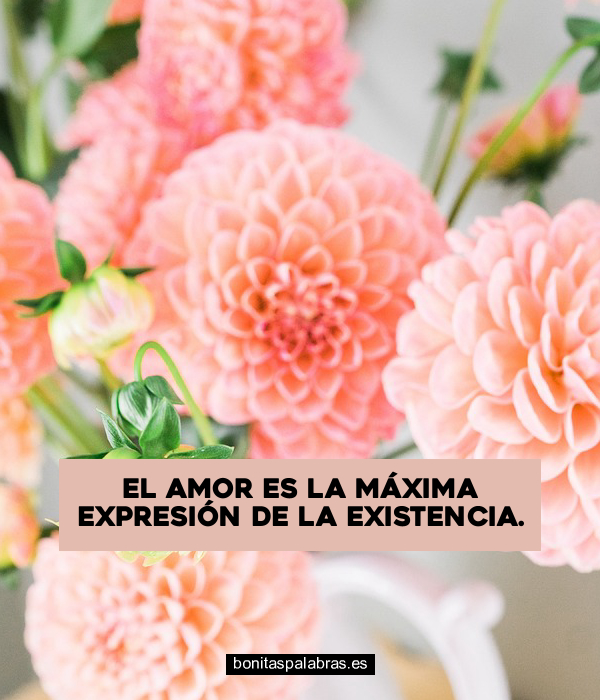 Imagen de El Amor Es La Maxima Expresion De La Existencia