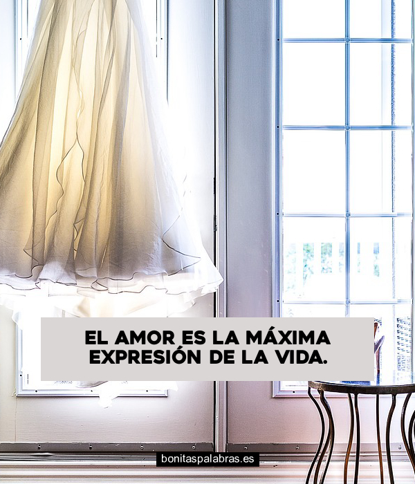 Imagen de El Amor Es La Maxima Expresion De La Vida