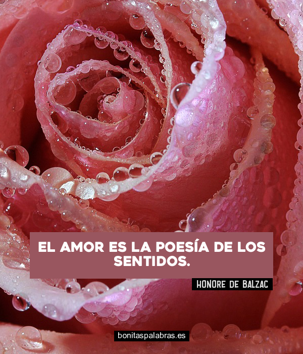 Imagen de El Amor Es La Poesia De Los Sentidos