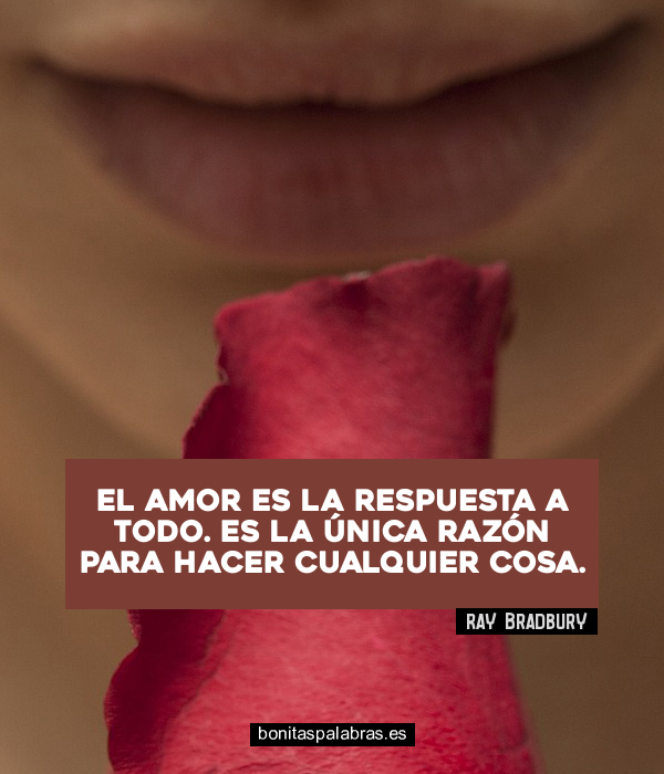 Imagen de El Amor Es La Respuesta A Todo Es La Unica Razon Para Hacer Cualquier Cosa