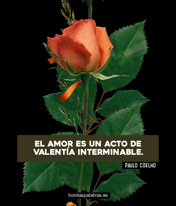 Imagen de El Amor Es Un Acto De Valentia Interminable