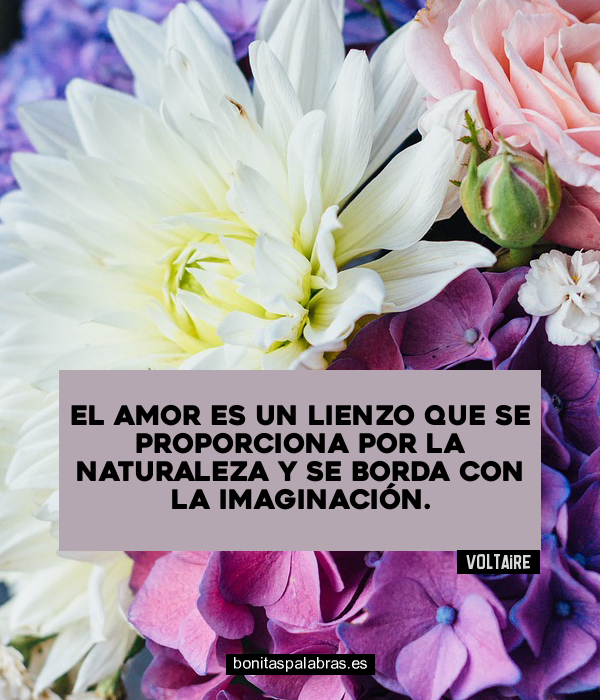 Imagen de El Amor Es Un Lienzo Que Se Proporciona Por La Naturaleza Y Se Borda Con La Imaginacion