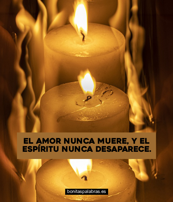 Imagen de El Amor Nunca Muere Y El Espiritu Nunca Desaparece