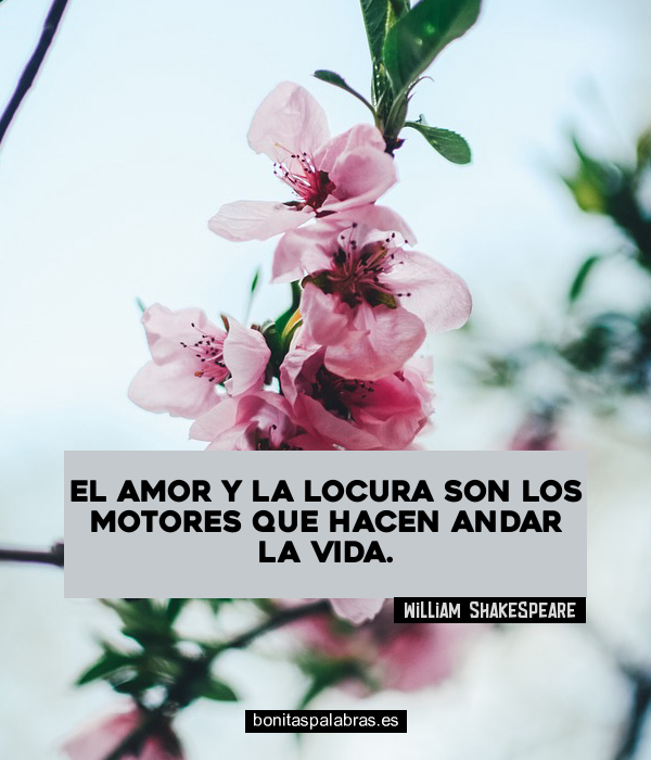 Imagen de El Amor Y La Locura Son Los Motores Que Hacen Andar La Vida