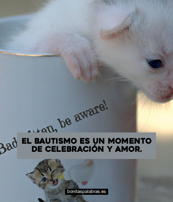 Imagen de El Bautismo Es Un Momento De Celebracion Y Amor