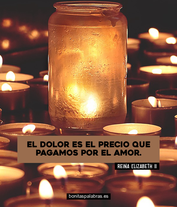 Imagen de El Dolor Es El Precio Que Pagamos Por El Amor
