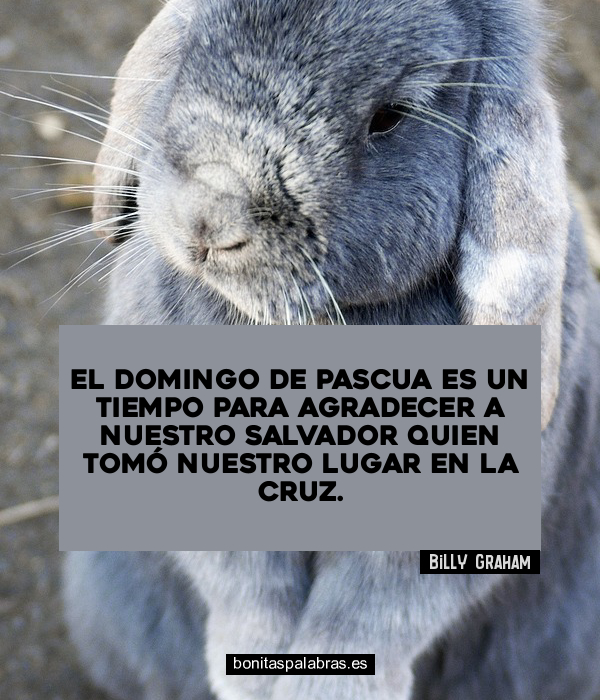 Imagen de El Domingo De Pascua Es Un Tiempo Para Agradecer A Nuestro Salvador Quien Tomo Nuestro Lugar En La Cruz