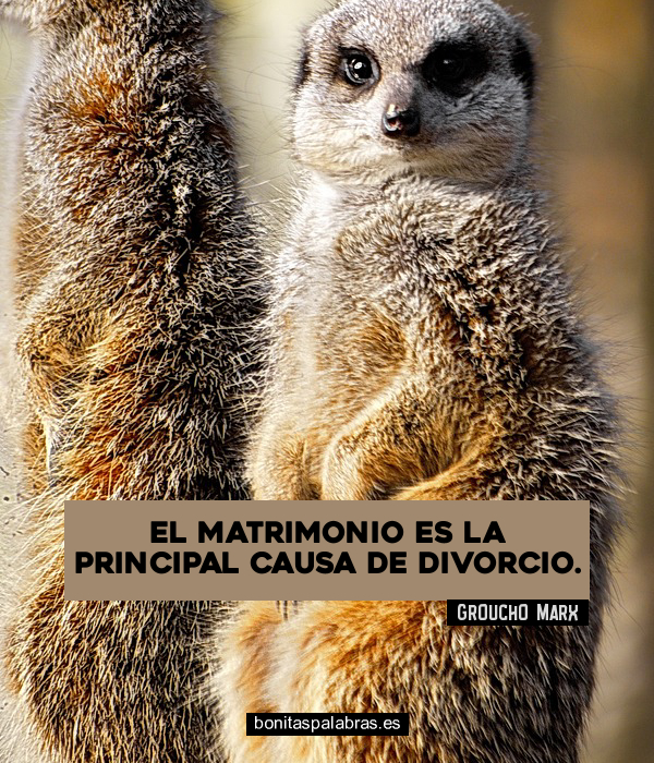 Imagen de El Matrimonio Es La Principal Causa De Divorcio