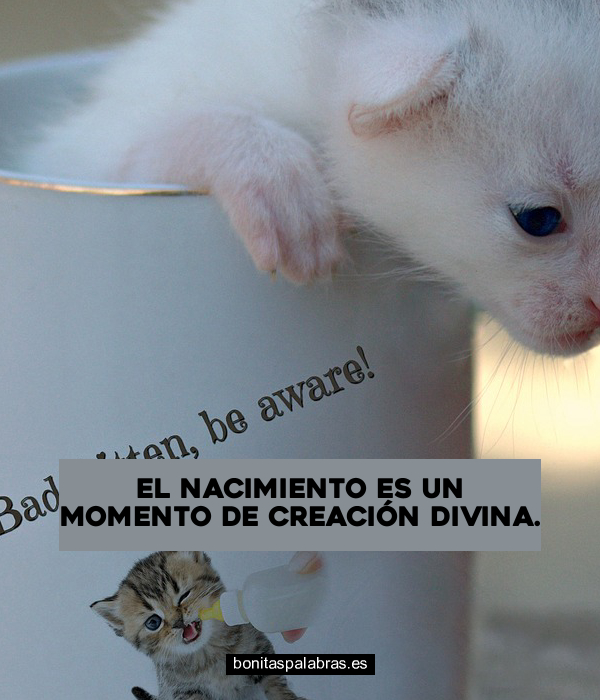 Imagen de El Nacimiento Es Un Momento De Creacion Divina