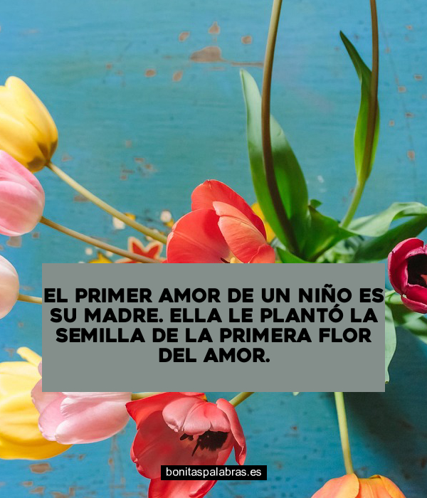 Imagen de El Primer Amor De Un Nino Es Su Madre Ella Le Planto La Semilla De La Primera Flor Del Amor