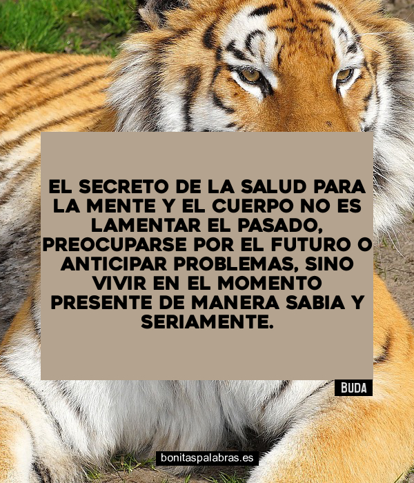 Imagen de El Secreto De La Salud Para La Mente Y El Cuerpo No Es Lamentar El Pasado Preocuparse Por El Futuro O Anticipar Problemas Sino Vivir En El Momento Presente De Manera Sabia Y Seriamente