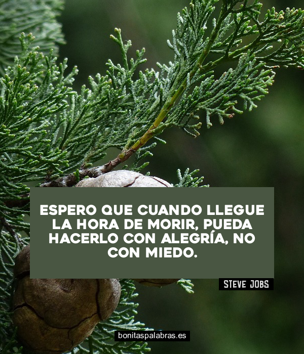 Imagen de Espero Que Cuando Llegue La Hora De Morir Pueda Hacerlo Con Alegria No Con Miedo
