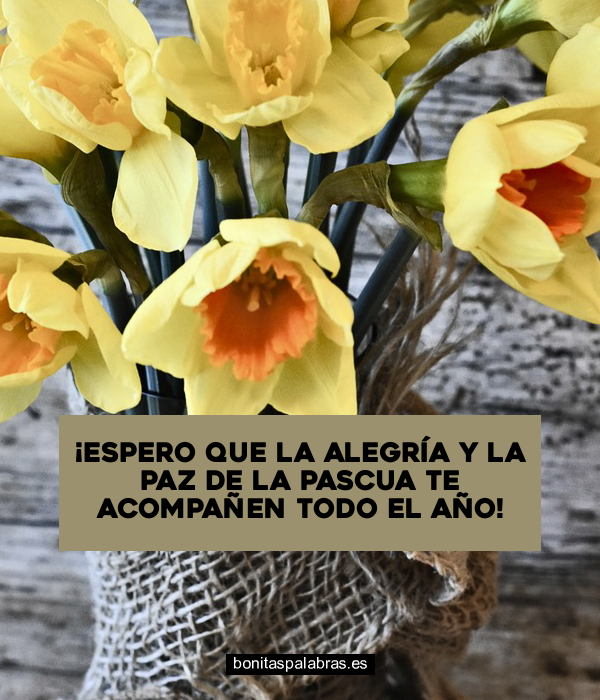Imagen de Espero Que La Alegria Y La Paz De La Pascua Te Acompanen Todo El Ano