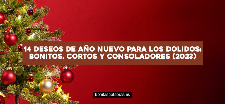 14 Deseos de Año Nuevo para los Dolidos: Bonitos, Cortos y Consoladores (2024)