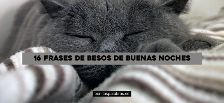 16 Frases de Besos de Buenas Noches