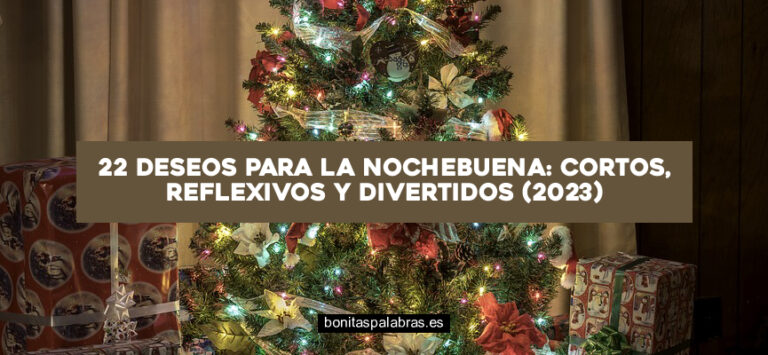 22 Deseos para La Nochebuena: Cortos, Reflexivos y Divertidos (2024)