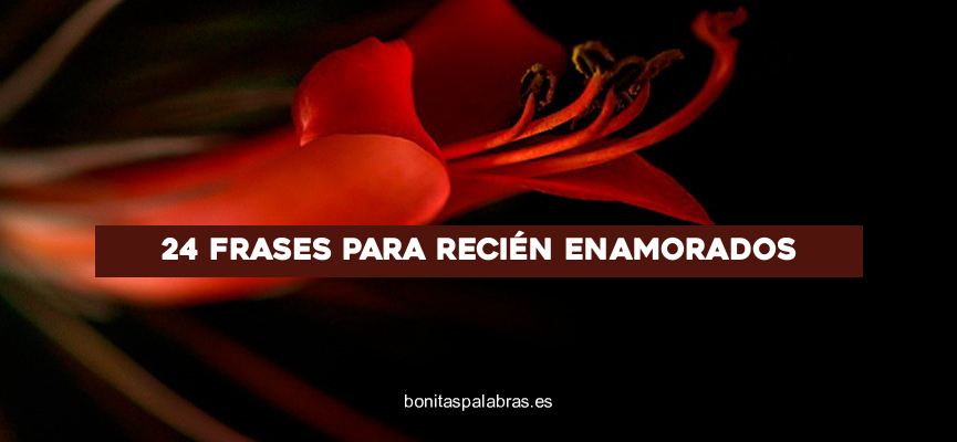 24 Frases para Recién Enamorados