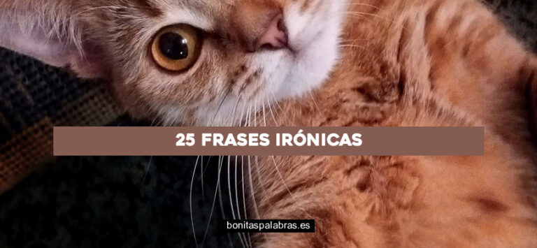 25 Frases Irónicas