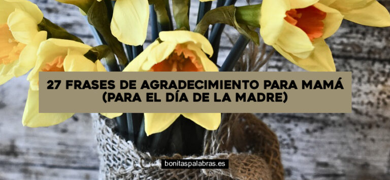 27 Frases de Agradecimiento para Mamá (Para el Día de la Madre)