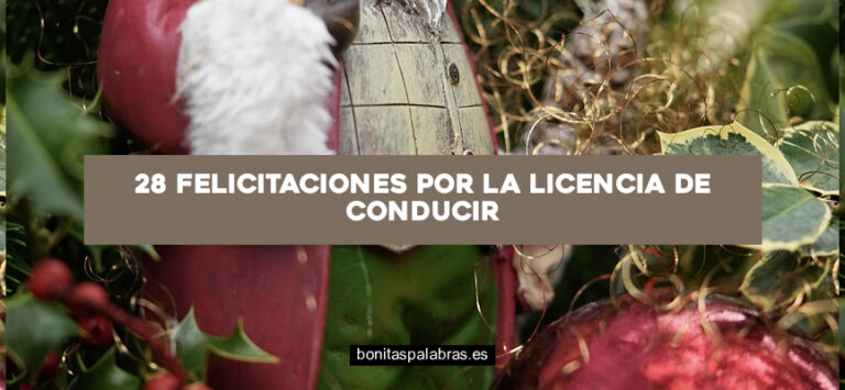 28 Felicitaciones por la Licencia de Conducir