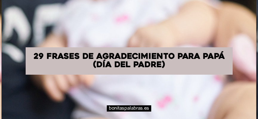 29 Frases de Agradecimiento para Papá (Día del Padre)