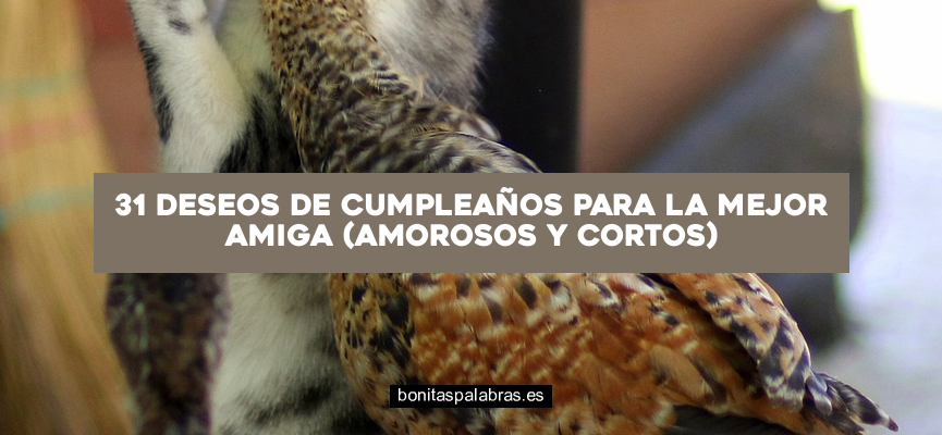 31 Deseos de Cumpleaños para la Mejor Amiga (Amorosos y Cortos)