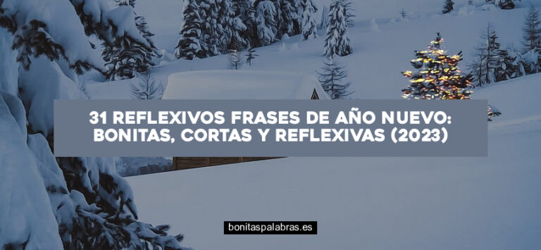 31 Reflexivos Frases de Año Nuevo: Bonitas, Cortas y Reflexivas (2024)