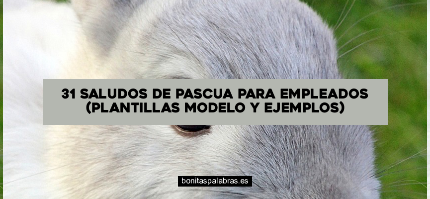 31 Saludos de Pascua para Empleados (Plantillas Modelo y Ejemplos)