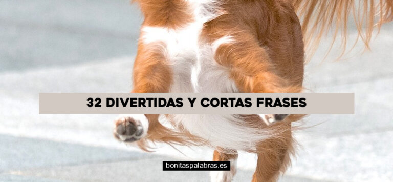 32 Divertidas y Cortas Frases