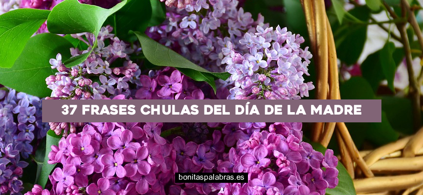 37 Frases Chulas del Día de la Madre