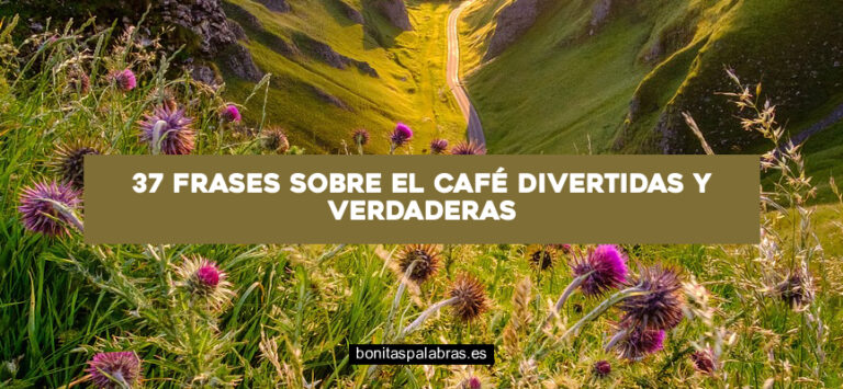 37 Frases sobre el Café Divertidas y Verdaderas