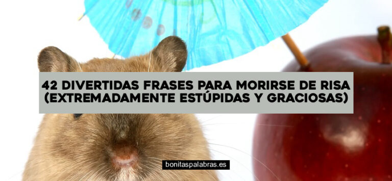 42 Divertidas Frases para Morirse de Risa (Extremadamente Estúpidas y Graciosas)