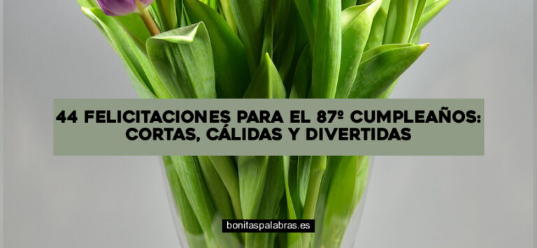 44 Felicitaciones para el 87º Cumpleaños: Cortas, Cálidas y Divertidas