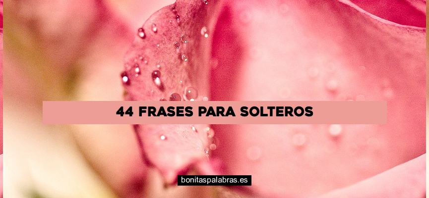 44 Frases para Solteros