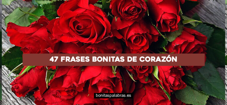 47 Frases Bonitas de Corazón