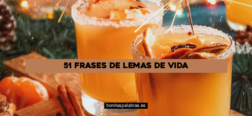 51 Frases de Lemas de Vida