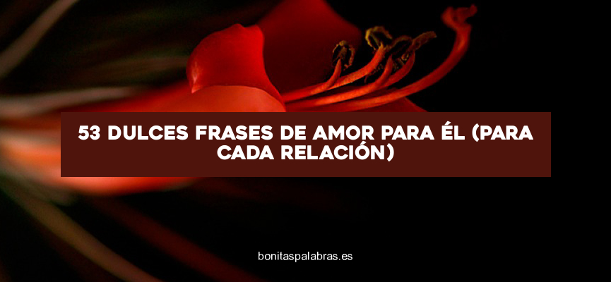 53 Dulces Frases de Amor para Él (Para Cada Relación)